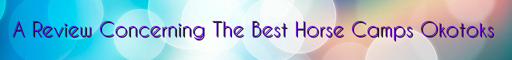 A Review Concerning The Best Horse Camps Okotoks