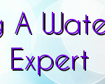Advantages Of Hiring A Water Removal Phoenix AZ Expert