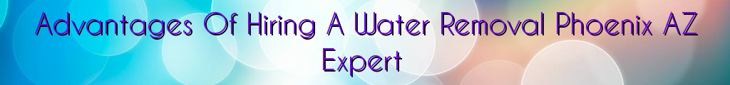 Advantages Of Hiring A Water Removal Phoenix AZ Expert