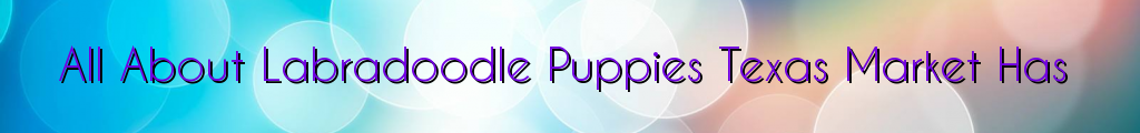 All About Labradoodle Puppies Texas Market Has