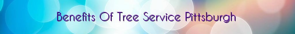 Benefits Of Tree Service Pittsburgh
