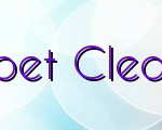 Choosing A Carpet Cleaning Lake Worth
