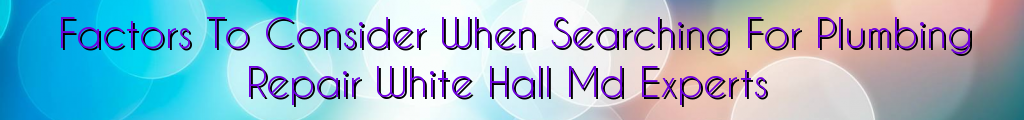 Factors To Consider When Searching For Plumbing Repair White Hall Md Experts