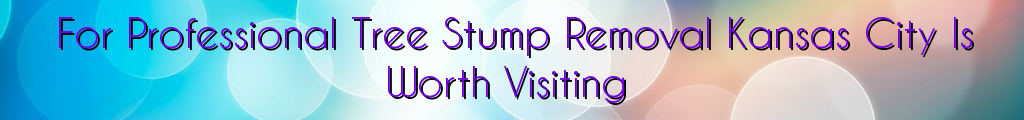 For Professional Tree Stump Removal Kansas City Is Worth Visiting