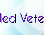 Guide To Disabled Veterans Assistance