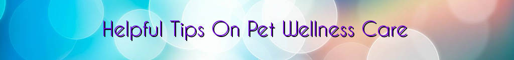 Helpful Tips On Pet Wellness Care