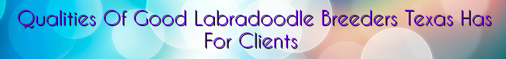 Qualities Of Good Labradoodle Breeders Texas Has For Clients