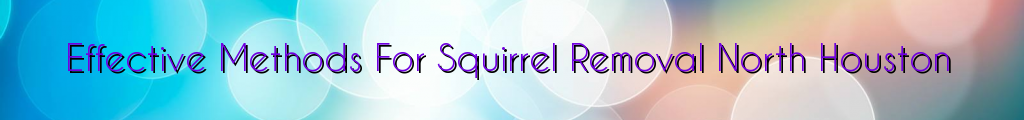 Effective Methods For Squirrel Removal North Houston