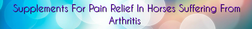 Supplements For Pain Relief In Horses Suffering From Arthritis