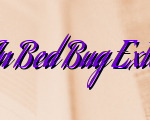Various Procedures In Bed Bug Extermination Iowa City